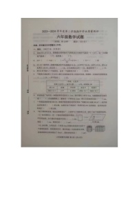 山东省菏泽市成武县全县联考2023-2024学年六年级下学期4月期中数学试题