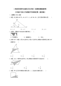 三角形的面积与底的正比关系—小升初数学选拔专项复习卷（通用版）