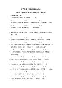 握手问题—小升初数学选拔专项复习卷（通用版）