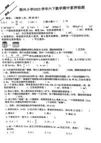 浙江省金华市兰溪市振兴小学2023-2024学年六年级下学期期中数学试题