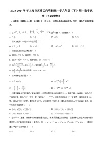 上海市黄浦区向明初级中学2023-2024学年六年级下学期期中数学试卷（原卷版+解析版）