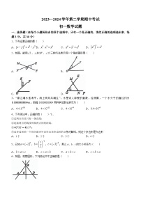 山东省济宁市任城区济宁学院附属中学2023-2024学年六年级下学期期中数学试题