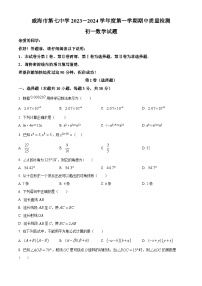 山东省威海市环翠区第七中学2023-2024学年六年级下学期期中数学试题（原卷版+解析版）