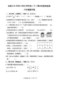 湖北省黄石市阳新县第三实验小学2023—2024学年六年级下学期期中测试数学试题