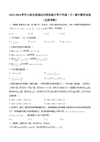 2023-2024学年上海市黄浦区向明初级中学六年级（下）期中数学试卷（五四学制）(含解析）