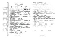 广东省湛江市廉江市良垌镇第五小学2023-2024学年三年级下学期5月期中数学试题