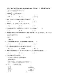 2023-2024学年山东省青岛市西海岸新区六年级（下）期中数学试卷