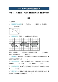 2024年小升初数学典型例题系列-专题16：平面图形·六大平面图形的周长和面积专项训练--(原卷版+解析版)