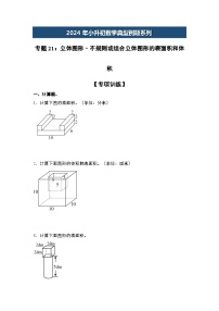 2024年小升初数学典型例题系列-专题21：立体图形·不规则或组合立体图形的表面积和体积--(原卷版+解析版)