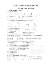 2024年哈尔滨17中学六年级（下）期中数学试题及答案