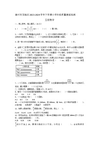 福建省漳州市龙海区2023-2024学年五年级下学期期中阶段质量摸底检测数学试题