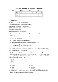 小学毕业模拟测试（试题）-2023-2024学年人教版数学六年级下册(01)