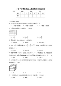 小学毕业模拟测试（试题）-2023-2024学年六年级下册数学人教版