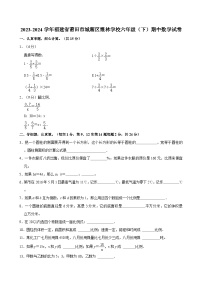 2023-2024学年福建省莆田市城厢区霞林学校六年级（下）期中数学试卷