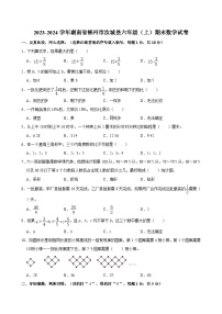 2023-2024学年湖南省郴州市汝城县六年级（上）期末数学试卷