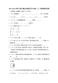 113，宁夏回族自治区石嘴山市惠农区2023-2024学年六年级上学期期末数学试卷
