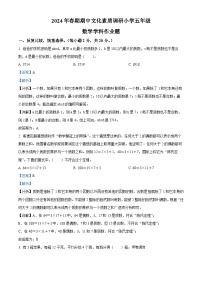 11，2023-2024学年河南省南阳市方城县人教版五年级下册期中文化素质调研测试数学试卷