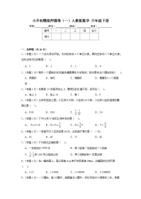 小升初模拟卷（试题）-2023-2024学年人教版数学六年级下册.2