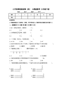 小升初模拟测试卷（试题）-2023-2024学年+人教版数学六年级下册.1