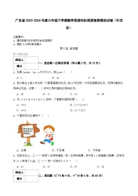 广东省陆丰市2023-2024六年级下学期数学竞赛知识竞赛复赛模拟试卷（附答案）