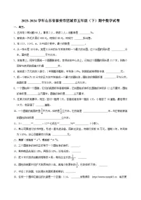 28，山东省泰安市肥城市2023-2024学年五年级下学期期中数学试卷
