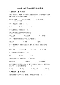 2024年小学升初中数学模拟试卷（含答案）