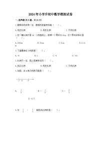 2024年小学升初中数学模拟试卷（含答案）