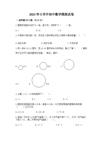 2024年小学升初中数学模拟试卷（含答案）