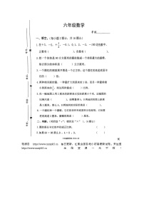 11，山东省临沂市兰山区2023-2024学年六年级下学期期中数学考试试题