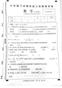 河南省洛阳市伊川县2023-2024学年六年级下学期第三次月考数学试卷