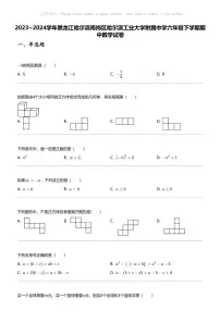 2023_2024学年黑龙江哈尔滨南岗区哈尔滨工业大学附属中学六年级下学期期中数学试卷