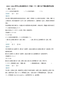 2023-2024学年山东省青岛市青岛版三年级下册期中水平测试数学试卷