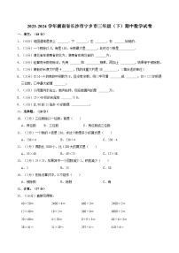 2023-2024学年湖南省长沙市宁乡市三年级（下）期中数学试卷