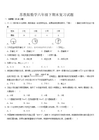 +期末复习试题（试题）-2023-2024学年六年级下册数学苏教版