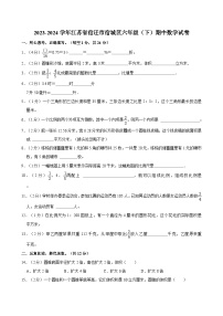 2023-2024学年江苏省宿迁市宿城区六年级（下）期中数学试卷