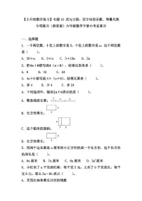 【小升初数学复习】专题10 式与方程：用字母表示数、等量代换练习（附答案）六年级数学下册小考总复习