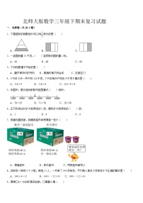 期末复习题（试题）2023-2024学年三年级下册数学北师大版