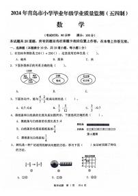 山东省青岛市2023-2024学年五年级下学期5月期末数学试题