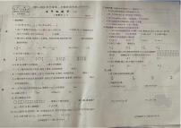 河南省周口市鹿邑县2023-2024学年五年级上学期月考检测数学试题