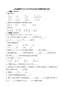 山东省聊城市2022-2023学年五年级下学期数学期中试卷