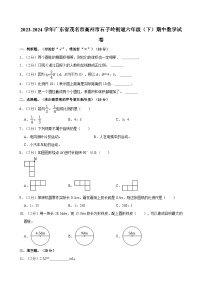 2023-2024学年广东省茂名市高州市石子岭街道六年级（下）期中数学试卷