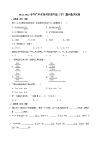 2022-2023学年广东省深圳市四年级（下）期末数学试卷