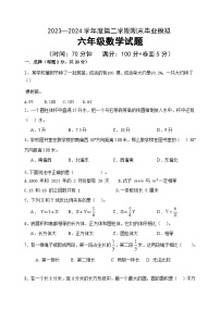 期末测试卷（试卷）-2023-2024学年六年级下册数学青岛版