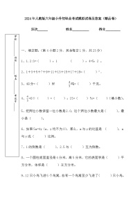 小升初毕业考试模拟试卷（试题）-2023-2024学年六年级下册数学人教版