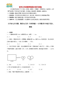 小升初数学七大专题：图形与几何（专项突破）- （含解析）