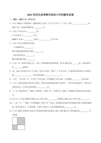 2023年河北省邯郸市邱县小升初数学试卷附答案解析 (1)