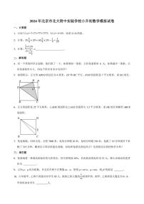 2024年北京市北大附中实验学校小升初数学模拟试卷附答案解析 (1)