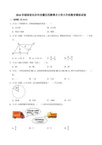 2024年湖南省长沙市岳麓区西雅博才小学小升初数学模拟试卷附答案解析 (1)