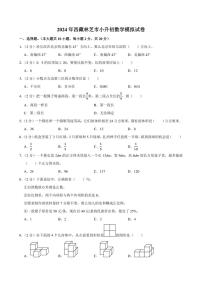 2024年西藏林芝市小升初数学模拟试卷附答案解析