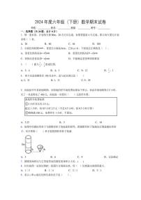 2024年度六年级（下册）数学期末试卷及详细答案解析56 (1)